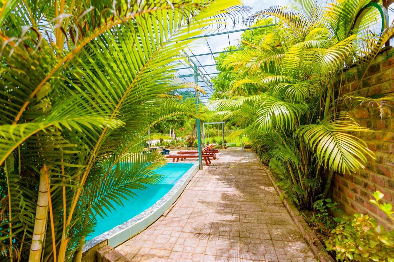 Phong Nha Amanda 2 Homestay Eksteriør billede